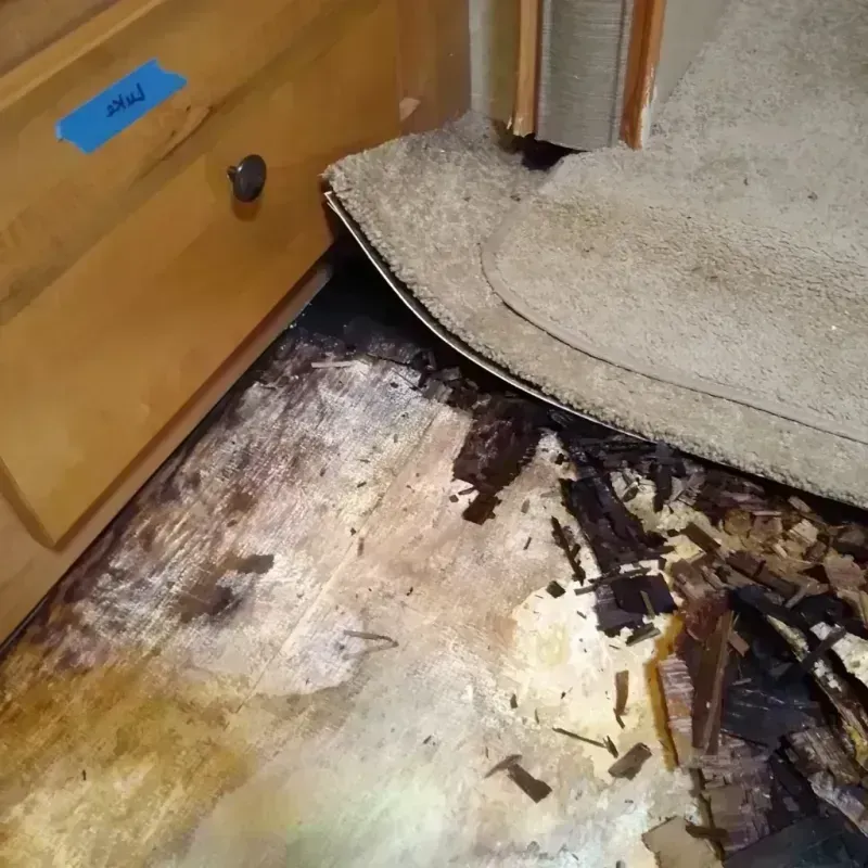 Wood Floor Water Damage in Stanfield, OR